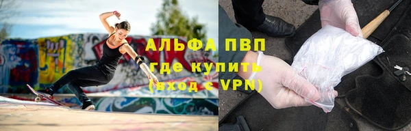 Альфа ПВП Бородино