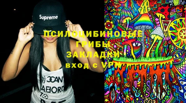 Альфа ПВП Бородино