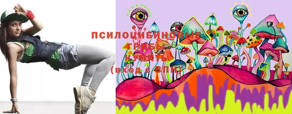 Альфа ПВП Бородино